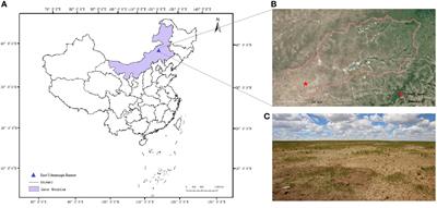 Rodent hole detection in a typical steppe ecosystem using UAS and deep learning